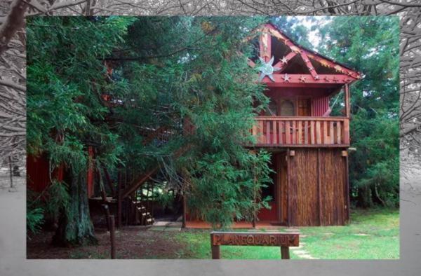 Sycamore Avenue Treehouses & Cottages Accommodation Windy Room photo