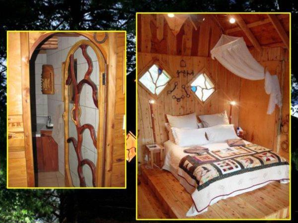 Sycamore Avenue Treehouses & Cottages Accommodation Windy Room photo